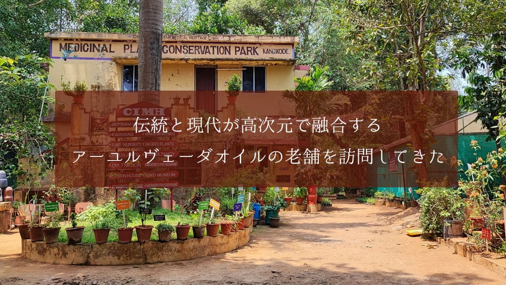 ＡＶＰ　クシーラバラ　タイラム[Ksheerabala Thailam 200ml]1枚目の下部説明写真です