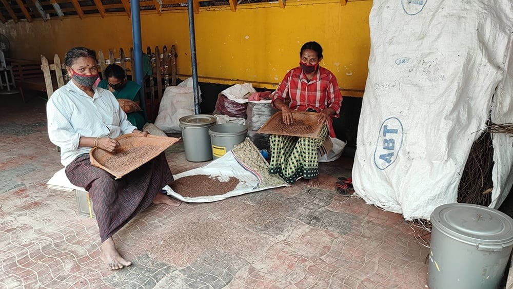 ＰＮＮＭ　マハーマーシャ　タイラム[Mahamasha Tailam 200ml]2枚目の下部説明写真です