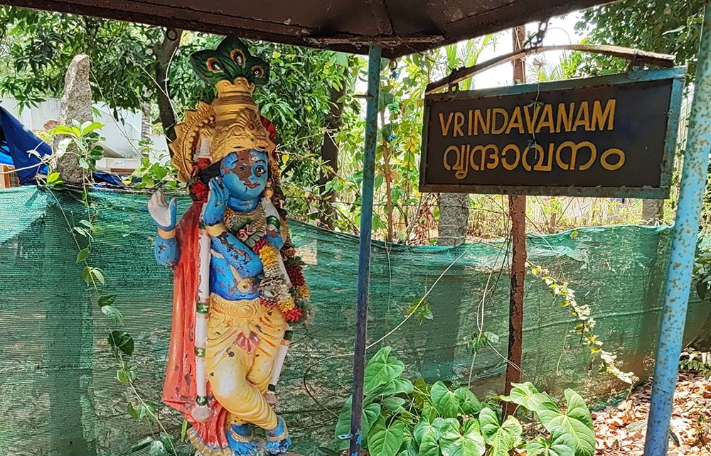 ＡＶＰ　クシーラバラ　タイラム[Ksheerabala Thailam 200ml]8枚目の下部説明写真です