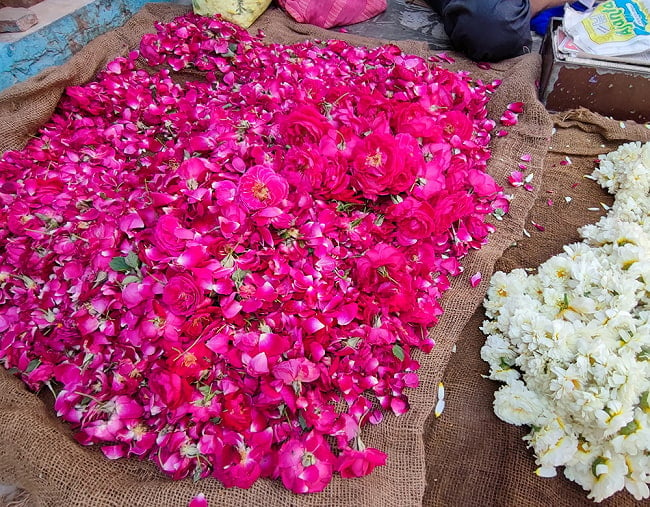 [インド品質　漏れ・付属品無し]プシュカル　ダマスク　ローズオイル【Standard 6ml　精油】 9 - インドではお花は首や花びらだけにするのが一般的