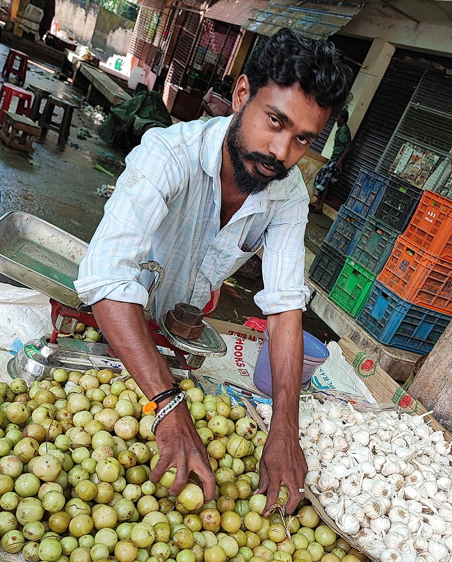 アムラパウダー [AMLA POWDER] - 100g 5 - こちらがインドの市場で売られているアムラ。インドではポピュラーな果実です