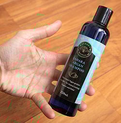 サハラ　アルガン　シャンプー / SAHARA ARGAN SHAMPOO -　250ml - サブ5