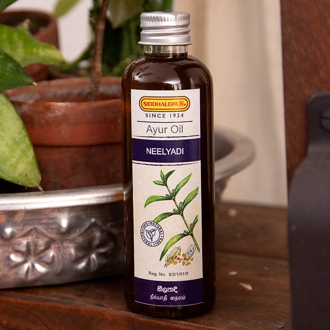 シダレッパ ニールヤーディ オイル - Neelyadi Oil 100mlの写真