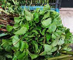 【送料無料・4個セット】ブラーミパウダー [BRAHMI POWDER] - 100g - サブ4