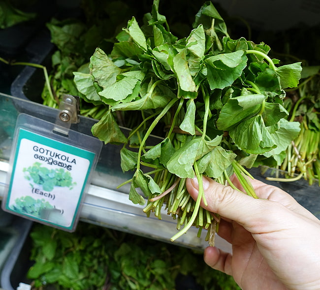 【送料無料・4個セット】ブラーミパウダー [BRAHMI POWDER] - 100g 6 - スリランカでは割と一般的で、スーパーでも売られています