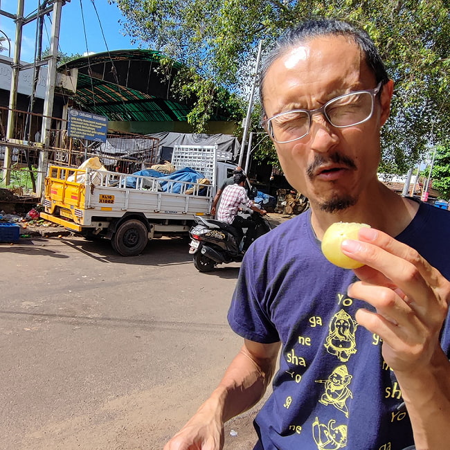 【送料無料・4個セット】アムラパウダー [AMLA POWDER] - 100g 8 - 生のアムラを食べたところ。酸っぱい！！！　ビタミンCの塊！と言う印象でした