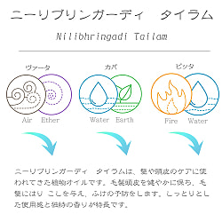【送料無料・6個セット】ＫＯＴＴＡＫＡＬ　ニーリブリンガーディ　タイラム[Nilibhringadi tailam 200ML] - サブ3