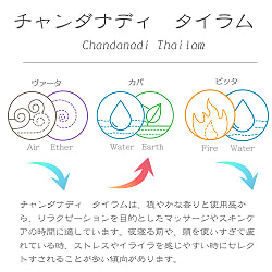 【送料無料・6個セット】AVP　チャンダナディ　タイラム[Chandanadi Thailam 200ml] - サブ3