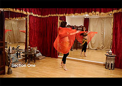 [DVD]Masters of Egyptian Choreography Vol.10 - Caroline - サブ3