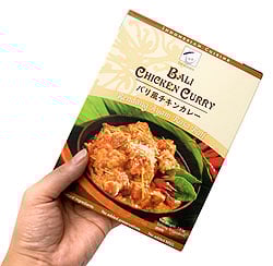 ペナン風 スパイシー トマト チキン カレー 【dfe】 - サブ3