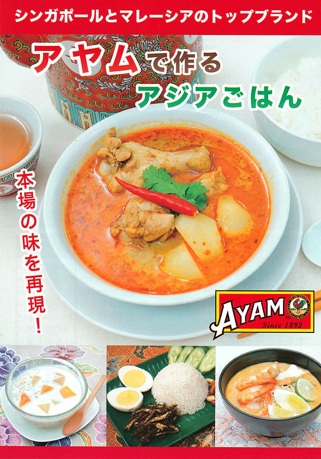 アヤムで作るアジアごはんレシピブック 【AYAM】の写真