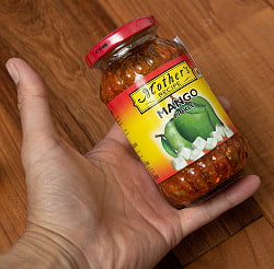 〔300g〕インドのピクルス （アチャール） - マンゴー 【Mother】 - サブ4