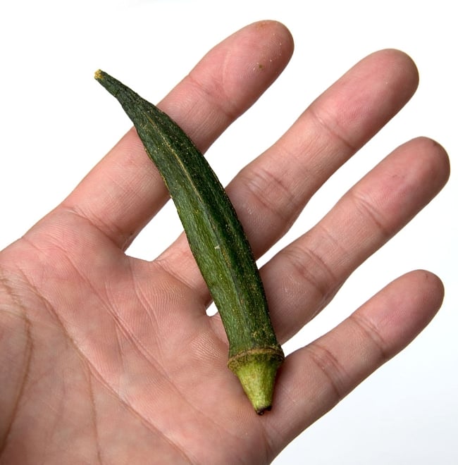 フリーズ ドライ オクラ - セサミ・ソイソース味 【Greenday】 6 - 中身はこんな感じです