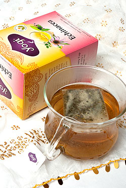 エキナセア【Yogi tea ヨギティー】(FD-SPS-14)