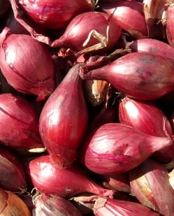 フライドレッドオニオン − ホムチョウ 【100g】 - サブ2