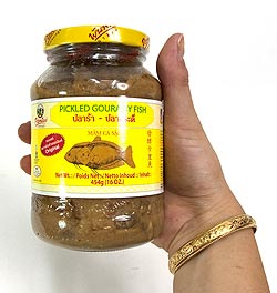 グラミーフィッシュの塩漬け【454ｇ】 - サブ2