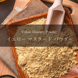 イエロー　マスタード　パウダー　Yellow Mustard Powder【500gパック】(ID-SPC-103)