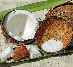 ココナッツファイン - Coconut Fine【500g袋入り】 - サブ5