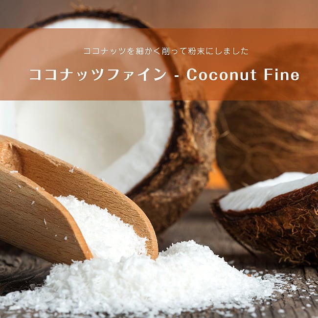 ランキング 11位:ココナッツファイン - Coconut Fine【500g袋入り】