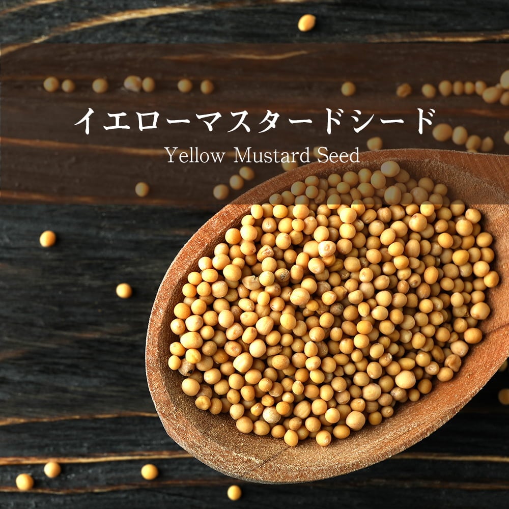 イエロー マスタード シード - Yellow Mustard Seed【500gパック】 の通販 - TIRAKITA.COM