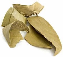ベイリーフ Bay leaves 【100gパック