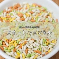 マウスフレッシュ スイート フェンネル - sweet fennel 【1kgパック】