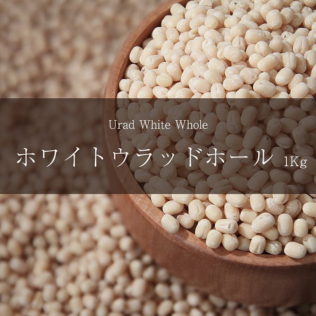 ホワイト ウラッド ホール　Urad White Whole【1kgパック】の写真1枚目です。皮をとったウラド豆ですダール,黒豆,Urad Dal,ウラッド,豆