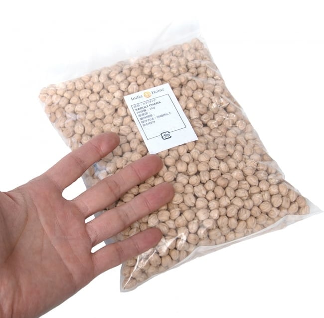 ひよこ豆(皮付き)Kabuli Chana Chickpea【1kgパック】 4 - サイズ比較のために手に持ってみました
