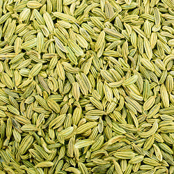 フェンネル シード - Fennel Seed 【500g 袋入り】 - サブ2