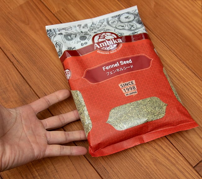 フェンネル シード - Fennel Seed 【500g 袋入り】 5 - サイズ比較のために手と一緒に