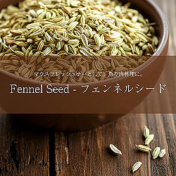 フェンネル シード - Fennel Seed 【500g 袋入り】の商品写真