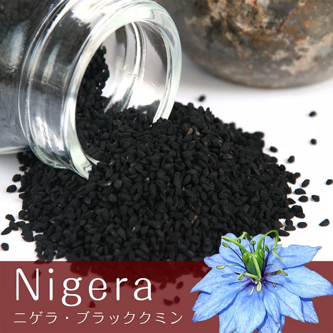 ニゲラシード Nigela - ブラック オニオン シード【500gパック】の写真1枚目です。ブラッククミンとも呼ばれるニゲラですニゲラ,Nigela,ブラッククミン