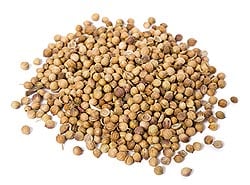 コリアンダーシード - Corriander Seed 【20g】 - サブ2