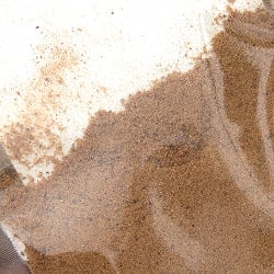 ナツメグパウダー - Nutmeg Powder 【20g】 - サブ4