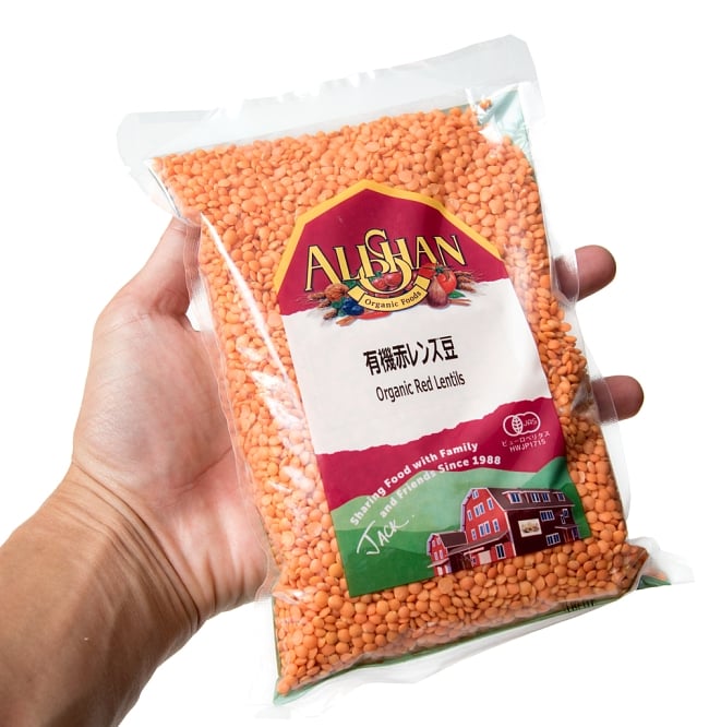 【オーガニック】赤レンズ豆 - Red Lentil 【500g】 4 - サイズ比較のために手に持ってみました