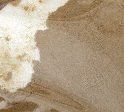 クミンパウダー - Cumin Powder 【20g】 - サブ4