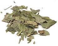 ニーム茶 50g [カフェイン フリ