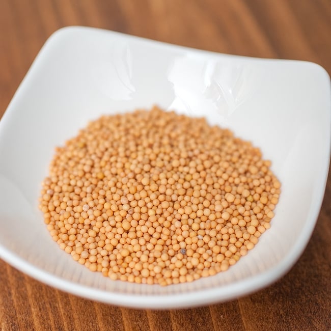 イエロー　マスタード　シード　Yellow Mustard Seed 【100gパック】 2 - ころころと小さな粒です。