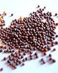 マスタード　シード - Mustard Seed (Rai) 【100g 袋入】の商品写真