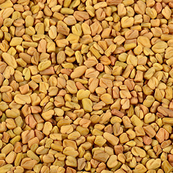 高級品質 フェネグリーク ホール - Fenugreek Whole【100gパック】[Viraki Bros]