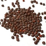 マスタードシード - Mustard Seed【500gパック】[Viraki Bros]の商品写真