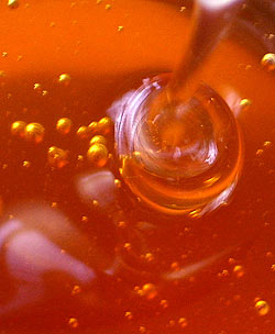 インド産 野生黒蜂蜜  【500g】【シタァール】 - サブ3