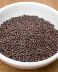 マスタードシード - Mustard Seed 500g(ID-SPC-662)