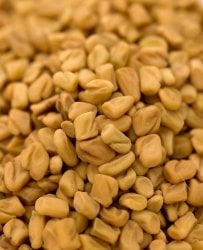 フェネグリークホール - Fenugreek Whole 500g