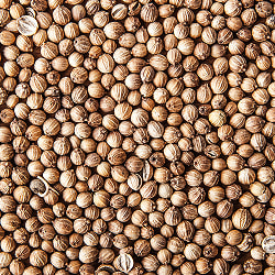 コリアンダー　ホール　180g Coriander Whole 【AHMED】(ID-SPC-720)
