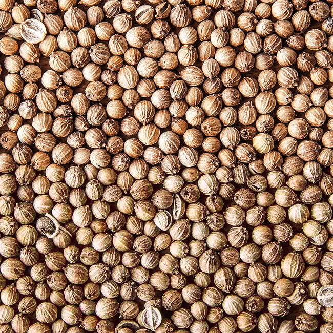 コリアンダー　ホール　180g Coriander Whole 【AHMED】の写真コリアンダー,Coriander,シアントロ,コエンドロ,パクチー,ハラル