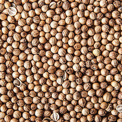 コリアンダー　ホール　180g Coriander Whole 【AHMED】の商品写真