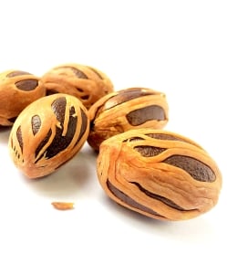 メース - Mace 【Ayurvedic Life】 - サブ2