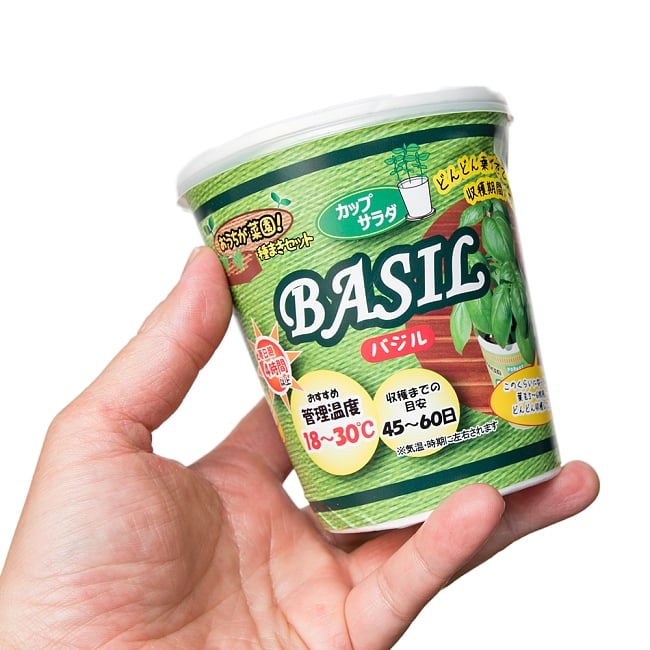 育てて食べるカップサラダ。- バジル栽培キット 【Forest】 4 - 手に持ってみました。場所を取らない小型タイプ。キッチンのカウンターなどで育ててみてはいかがでしょうか?