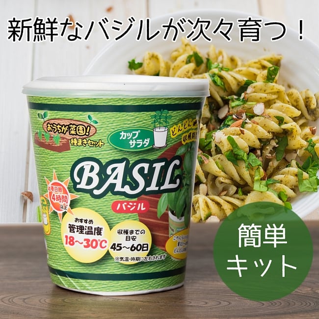 育てて食べるカップサラダ。- バジル栽培キット 【Forest】の写真